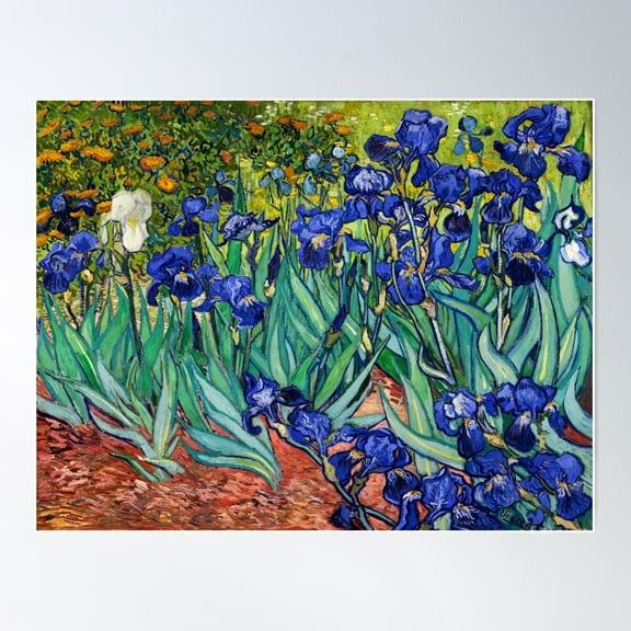 Irises By Vincent Van Gogh Poster Wall Art, Modern Wall Decor For Living Room Bedroom, 8x12 UNFRAMED