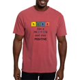 thumbnail image 1 of CafePress - Think Like A Proton. Physics And Chemistry Shirts - Mens Comfort Colors® Shirt, 1 of 5