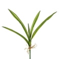 thumbnail image 1 of Vickerman FA173001 Real Touch Yucca Leaves X5-Green Greenery Stem, 1 of 3
