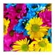 thumbnail image 2 of Cuadros Decorativos Kits completos de bordado Flores Punto de cruz 11CT Estampado DIY Lienzo Artesanía Regalos DQrwqpou Nuevos Originales, 2 of 9