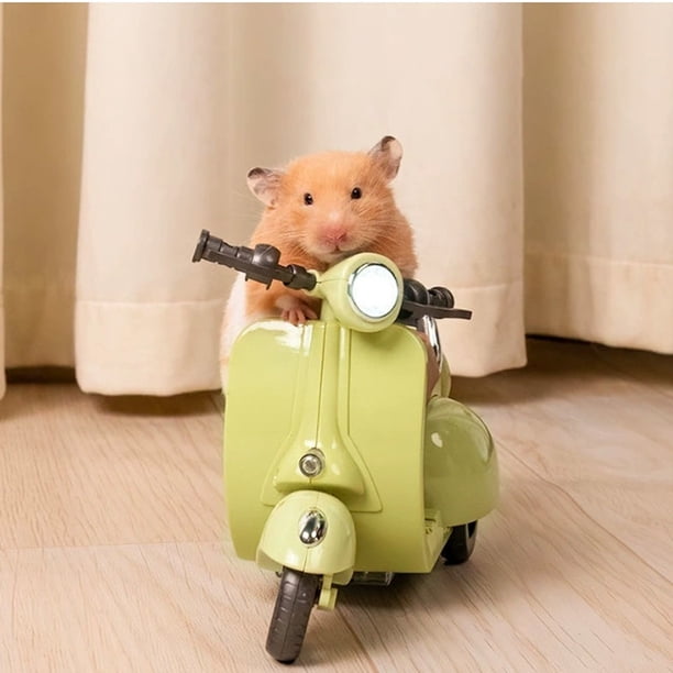 Poupée De Collection Avec Tenue De Jour Et Accessoires - Poupée De Mode Tendance Pour Enfants A Partir De 6 Ans Poupée De Collection Avec Tenue De Jour Et Accessoires - Poupée De Mode Tendance Pour Enfants A Partir De 6 Ans