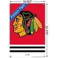 thumbnail image 3 of NHL Chicago Blackhawks - Logo 21 Wall Poster with Pushpins, 14.725" x 22.375", 3 of 6