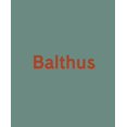 thumbnail image 1 of Balthus, 1 of 2