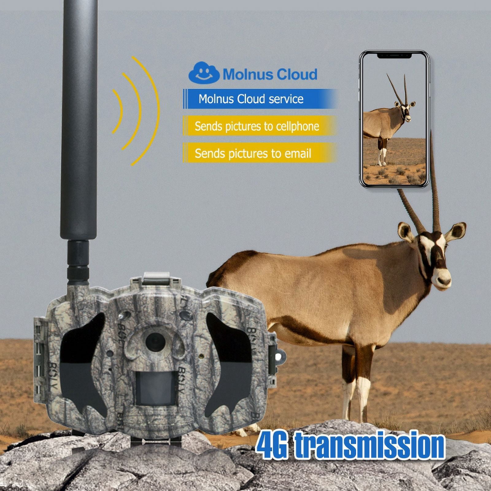 Boly Media MG984G-36M 36MP 4G LTE Wireless Trail Camera