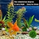 thumbnail image 2 of Moyic Bola de musgo simulada Verde Falso Vivo Realista Durable Planta de acuario Planta acuática Algas decorativas Bola de purificación de agua para Decoración del hogar talla grande Moyic HA026551-02, 2 of 5