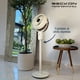 thumbnail image 5 of Ventilador De Pedestal decorativo premium Beckon BV-45Star alta potencia 27cm de diámetro 3 posiciones de altura Oscilación, 5 of 8