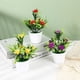 thumbnail image 4 of Flores artificiales Bonsai Diy Decoración del hogar Maceta ornamental Baño Alféizar Mini maceta Navidad Boda Decorativa, 4 of 5