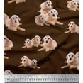thumbnail image 1 of Soimoi Modal Satin Fabric Golden Retriever Dog Printed Craft Fabric by The Yard 42 Inch Wide, 1 of 3