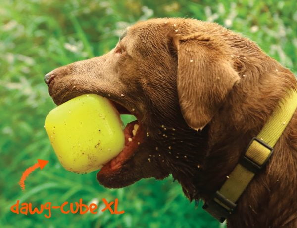 Ruff Dawg Dawg-Cube XL Indestructible Rubber Retrieving Dog Toy, Color Varies