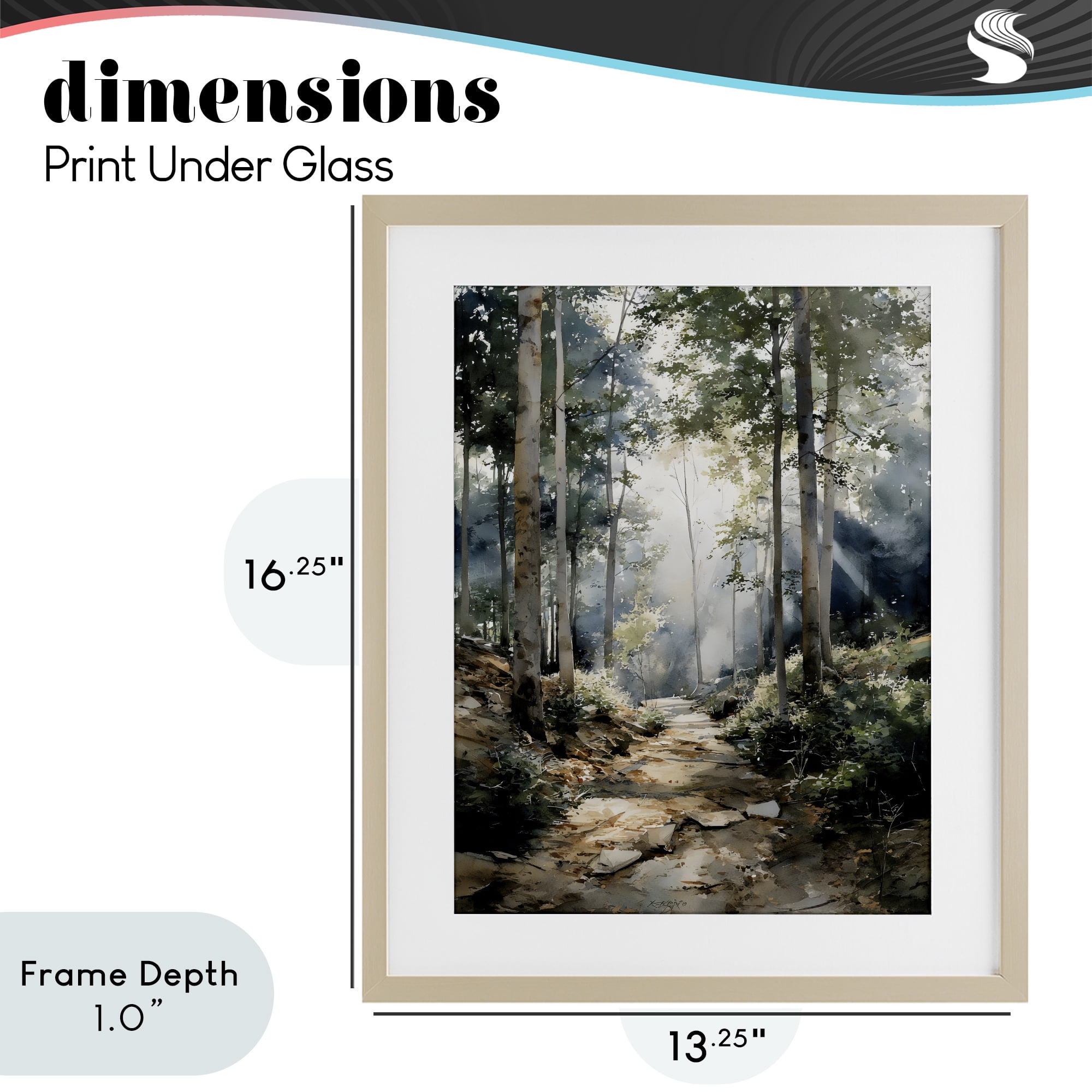 Stupell Industries Through The Woods Pathway Birch Framed Print Under Glass, design by Franklyn Gregory