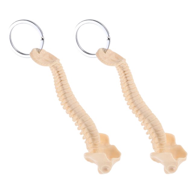 unbranded 2Ud Llavero Columna Vertebral Amarillo Para Uso Decorativo Y Profesional