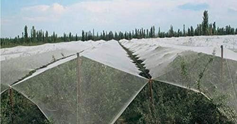 Anti-Aging Orchard Anti-Hail Netting Vegetable Garden Hail Protect Netting,6.5x100ft