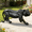 Black, variant on Eyisean 24" Outdoor Bald Eagle Statue, All-Weather Large American Eagle Figurine, Majestic Hand-Painted Resin Animal Sculpture, Bald Hawk Effigy Decoration for Garden, Lawn, Yard & Indoor