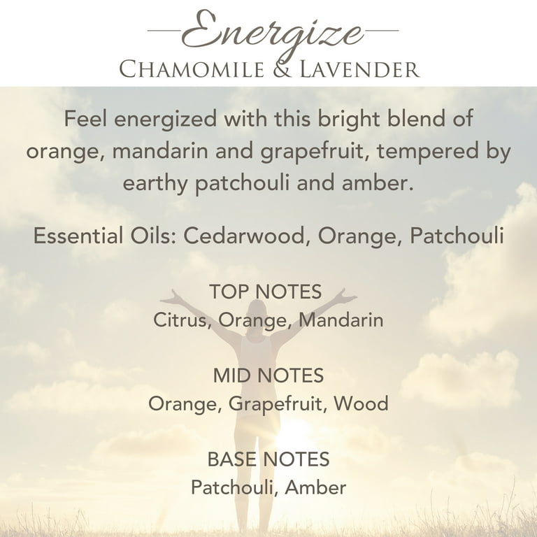Energize 2.5 oz Orange Aromatherapy Wax Melts by Candle Warmers at