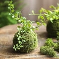 thumbnail image 4 of Mossy Meadow Foam Ball, 4 of 10