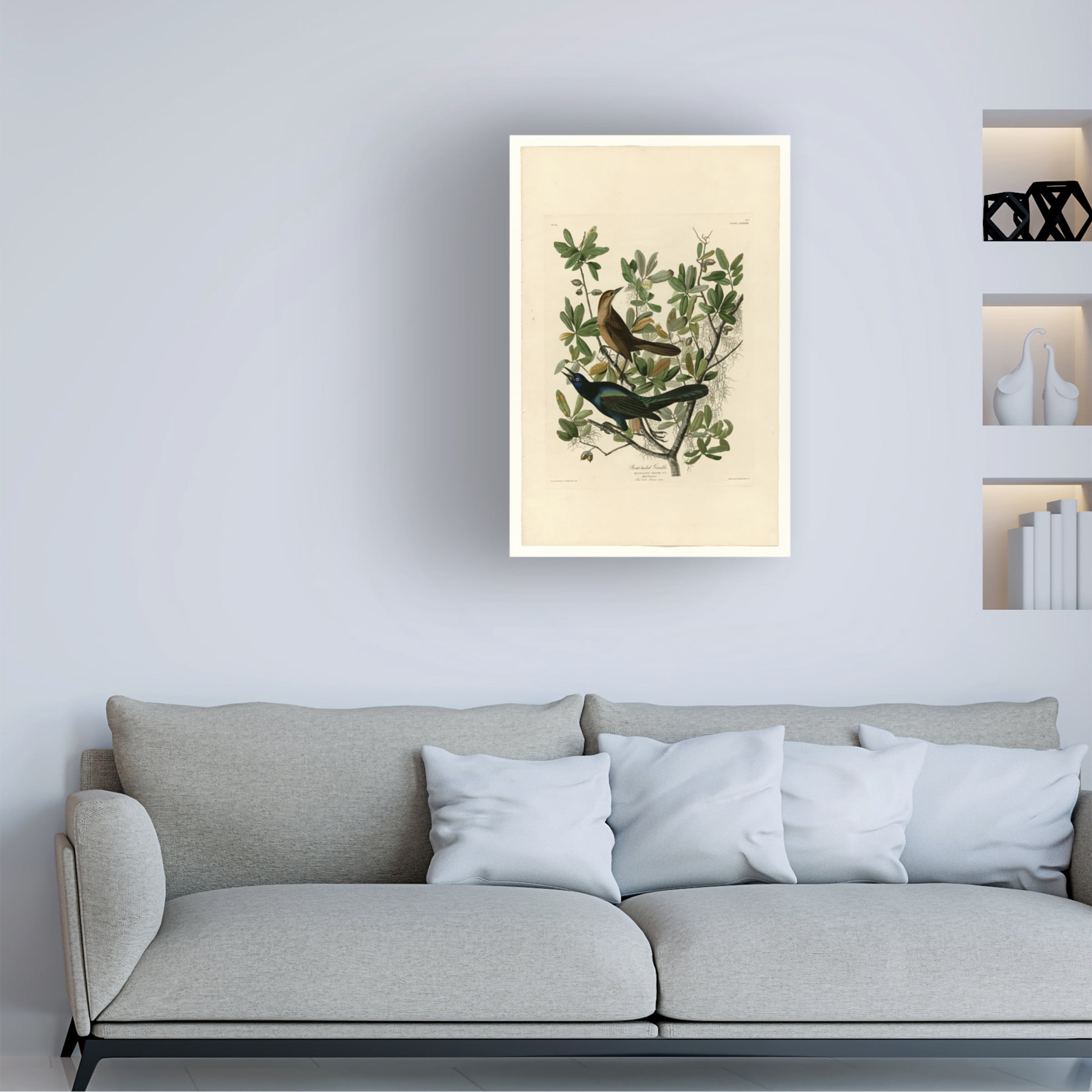 Audubon 'Boattailed Grackleplate 187' Canvas Art