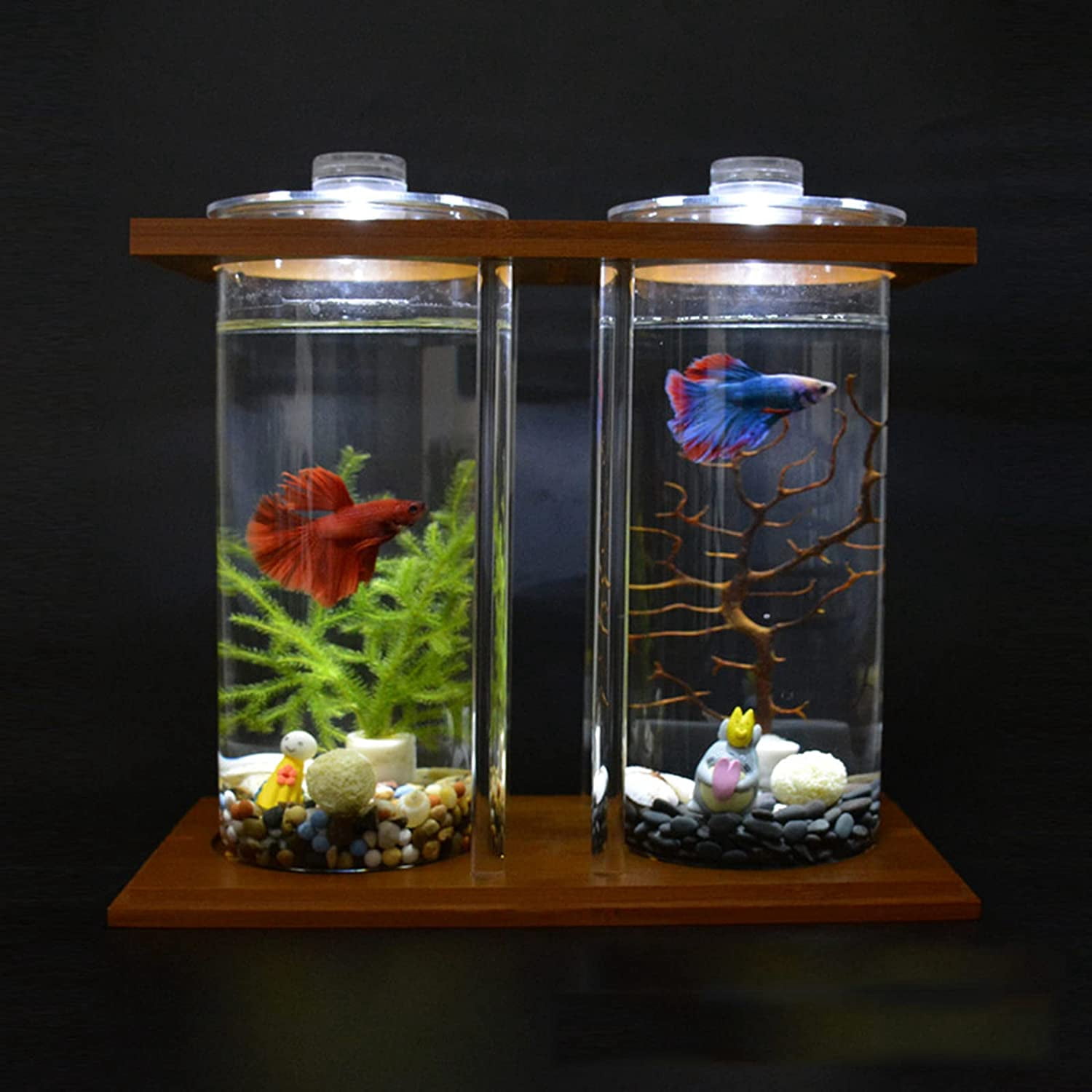 Creative Bamboo Wood Ecological Fish Tank Dual Glass Desktop Mini DIY Goldfish Betta Fish Tank Micro Landscape Tank Aquarium Small Fish Tank