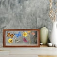 thumbnail image 5 of Hytrove 1Pcs Dried Flower Display Case for Home Decoration and Specimen Storage in Rectangular Shape 11.8X5.1X2.1In, 5 of 7