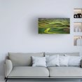 thumbnail image 2 of Trademark Fine Art David Drost  The Palouse Countryside  I Canvas Wall Art, 2 of 4