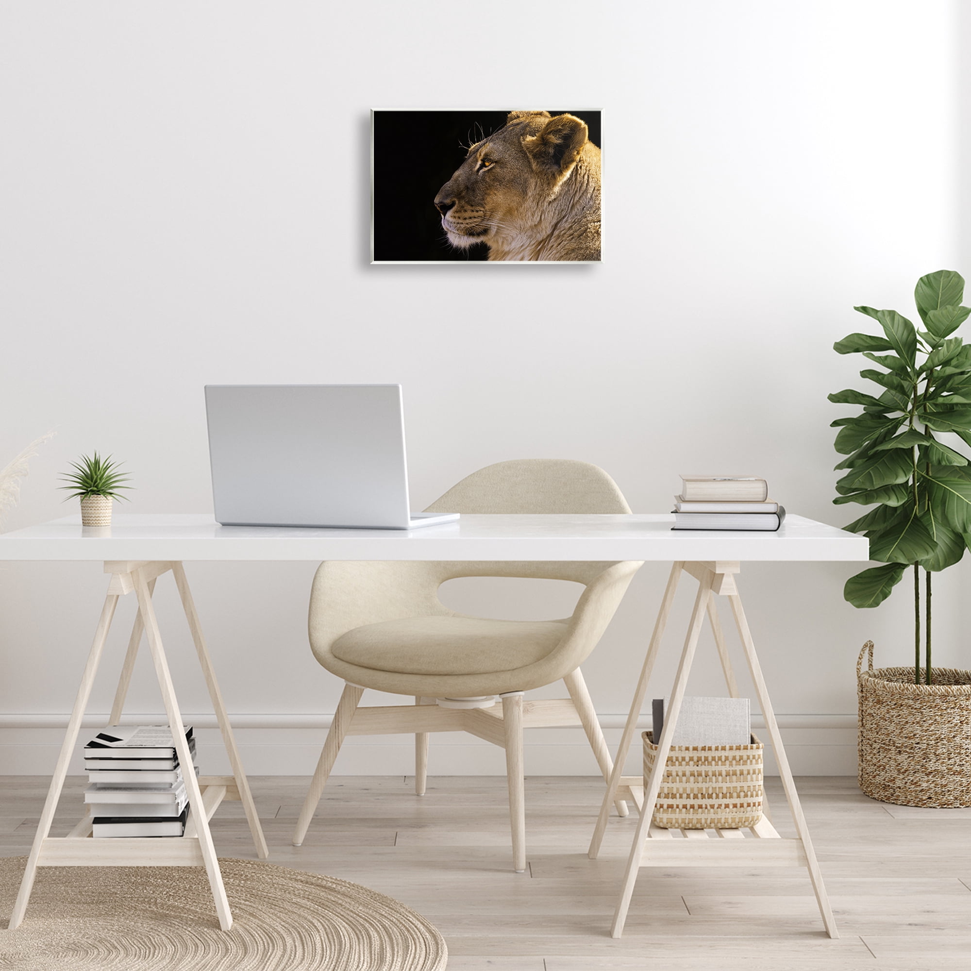 Stupell Industries Fierce Lion Looking Left Animals Photography Unframed Art Print Wall Art, 15 x 10