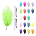 thumbnail image 3 of 12-14 inch Natural Ostrich Feathers, Soft Plume for Diy Crafts Wedding Centerpieces Party Decorations Christmas Tree Ornaments Costume accessories Dream Catcher, 1Pc (Multiple Colors available) Mohdy, 3 of 7
