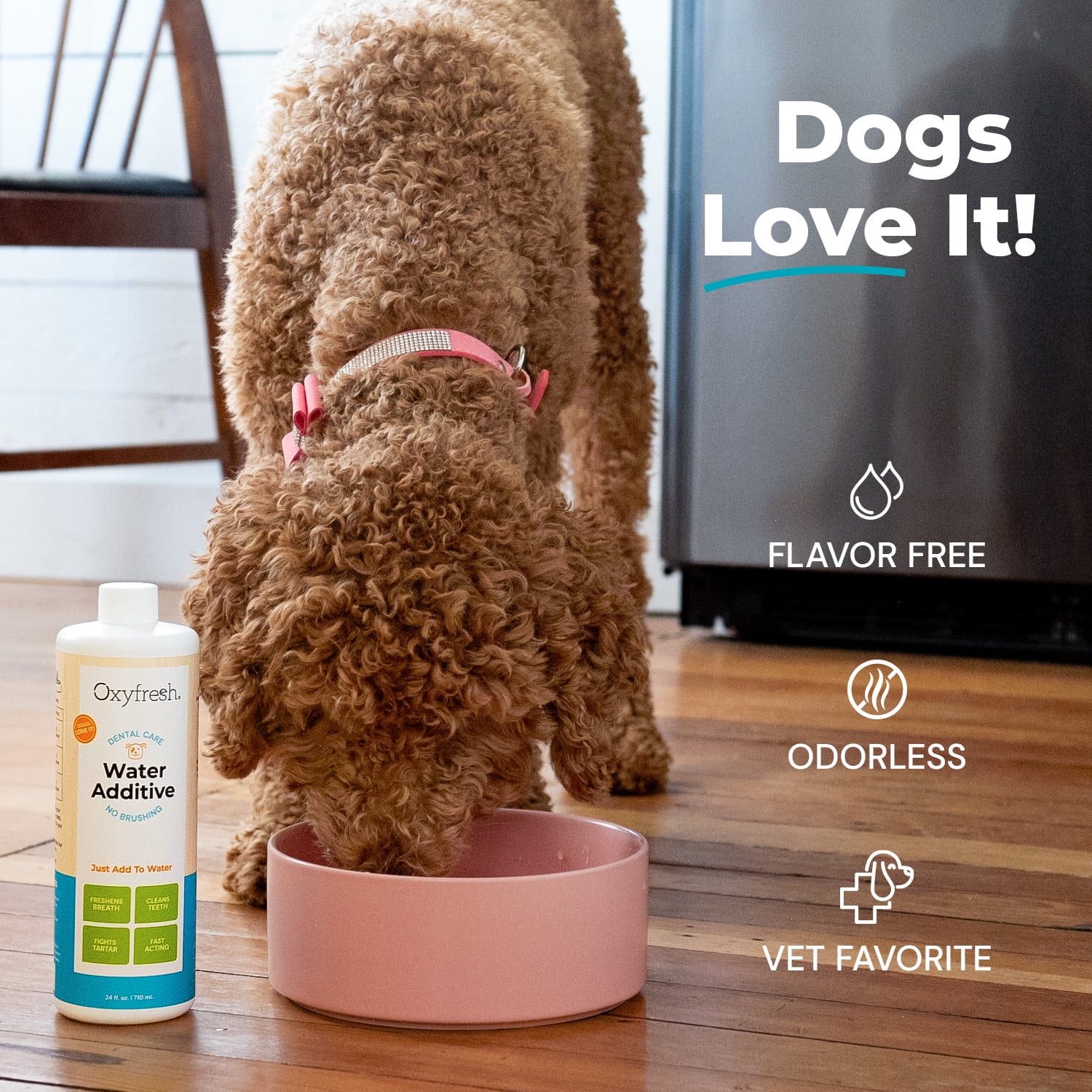 Oxyfresh Premium Dog Dental Water Additive, Best Way to Eliminate Bad Breath for Dogs, Teeth Cleaning Made Easy, 24 Ounce