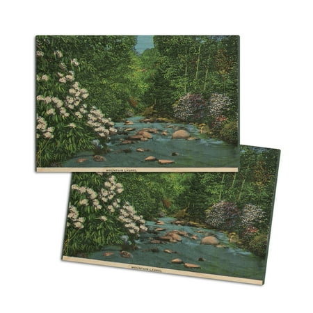 

Tennessee View of Mountain Laurel along a Stream (4x6 Birch Wood Postcards 2-Pack Stationary Rustic Home Wall Decor)