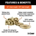 thumbnail image 2 of CURT 80304 35-Inch Trailer Safety Chain with 5/16-In Clevis Snap Hook, 18,800 lbs Break Strength, 2 of 6