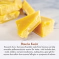 thumbnail image 4 of Vela de cera de abeja con citronela de 80 horas Candle by the Hour, 4 of 8