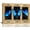 Blue Butterfly, variant on Tulip Wall Art Flower Butterfly Pictures Wall Decor I Can Only Imagine Canvas Prints Framed Artwork Paintings Home Decorations For Bathroom Bedroom Living Room 16"x12"