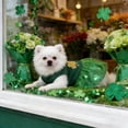 thumbnail image 4 of St Patrick's Day Dog & Cat Costume Skirt, Green Mesh Tutu for Pets Holiday Party Outfit, St Patty's Photo Shoot Dress for Small Medium Large Dogs Cats, 4 of 6