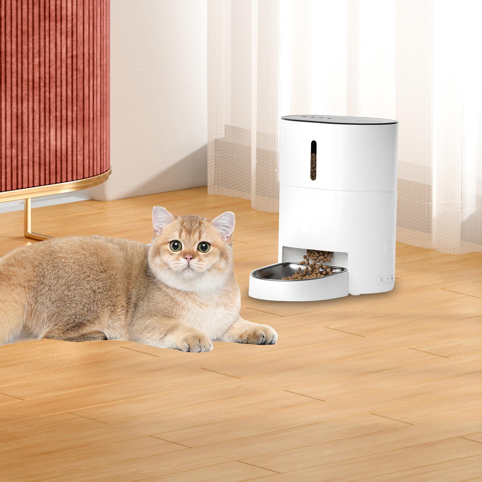 oshhnii Automatic Cat Feeder App Control Voice Recording Stainless Steel Single Bowl