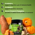 thumbnail image 3 of Pet Honesty Probiotics Gut + Immune Health Pumpkin Flavored Soft Chews, Digestive Probiotic Supplement for Dogs, 90 count, 3 of 8