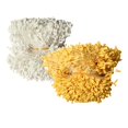 thumbnail image 1 of 2800 Piezas Estambres de Flores Artificiales Perlas de Doble Punta Flores Florales Estambres Amarillo Y Blanco 6 Cm Macarena Estambres de flores Doble brotes, 1 of 8
