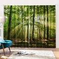 thumbnail image 1 of Cortinas Cortinas Poliéster Bosques Impresión De Luz Solar Cortinas De Sombreado Para Balcón Dormitorio Sala De Estar Ventana 150 X 166Cm, 1 of 8