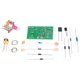 thumbnail image 3 of Kit de módulo de circuito regulable, kit de módulo de circuito regulable Kit de producción electrónica Kit de bricolaje de producción electrónica Construcción robusta NikouMX herramienta, 3 of 8