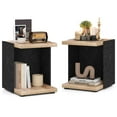 thumbnail image 1 of Costway Ensemble de 2 Tables d'Appoint à 2 Niveaux avec Étagère de Rangement Ouverte Table de Nuit Compacte pour Chambre, 1 of 9