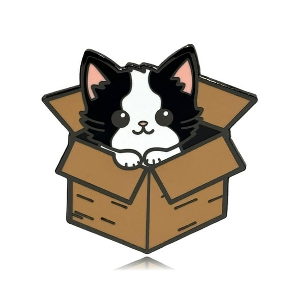 Cat in a Box Enamel Pin