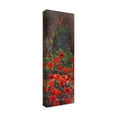 thumbnail image 2 of Trademark Fine Art 'Dahlia Garden II' Canvas Art by LI BO, 2 of 4
