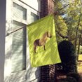 thumbnail image 2 of Carolines Treasures BB7740CHF Shetland Cheval Vert Drapeau Toile Maison, 2 of 4