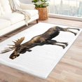 thumbnail image 1 of Palm Tree Area Rugs for Bedroom Living Room - 4x6 ft - Tree Carpet for Home Decor - Ocean Patterned Decorative Indoor Large Rug - Washable & Soft & Non Slip & Low Pile (ZD&387), 1 of 7
