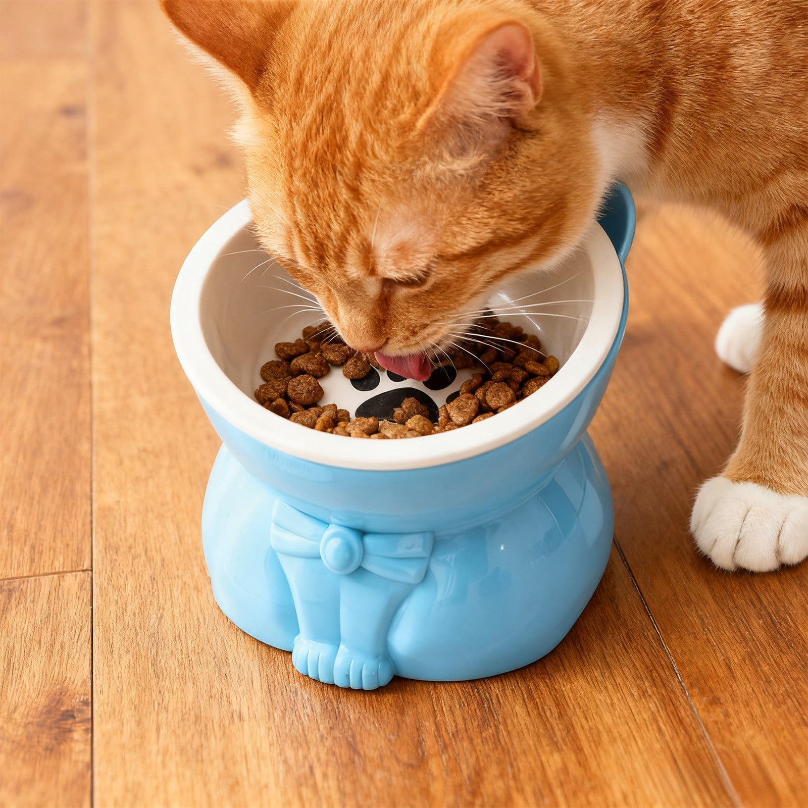 Elevated Cat Food & Water Bowl, 250ml Large Capacity Raised Whisker-Friendly Anti-Tip Plastic Feeding Bowl for Cats, Cute Blue Pet Bowl (1pc, Non-Dishwasher Safe)