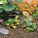 thumbnail image 3 of FLhrweasw Adornos Bonsái Artificial Miniatura Realista para Jardín Patio, 3 of 9