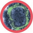 thumbnail image 4 of Giantmicrobes Themed Gift Box Plagues From History, 4 of 4