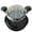 Black, variant on Chicken Shredder Large Chicken Breast Shredder Tool Twist with Brush&Fork, Visible Meat Shredder Machine, Strong Anti-Slip Strip, Ergonomic Handle, BPA Free, Suitable for Pork Beef Chicken