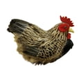 thumbnail image 4 of Estatua de Jardín DYNWAVEMX Simulación de Pollo 26 cm x 18 cm, 4 of 8