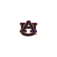 thumbnail image 2 of Tervis Auburn Tigers Insulated Tumbler, 2 of 8