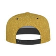 thumbnail image 4 of Gaeub Gold Shiny Flat Bill Snapback Hats Baseball Caps with Adjustable for Running Workouts and Outdoor Activities, 4 of 9