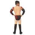 thumbnail image 3 of Costume de Luxe pour Garçon WWE Finn Balor, 3 of 5
