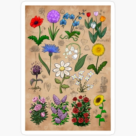 Kira Flowers of Minecraft Botanical Illustrations Glossy Sticker Waterproof Sticker for Water Bottles, Laptops, Notebooks - Best Birthday Gifts